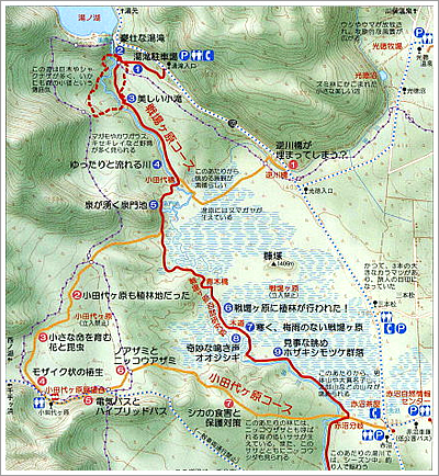 今だけ がいっぱい 戦場ヶ原ハイキングのススメ 出かける 連載コラム エコレポ Eicネット エコナビ