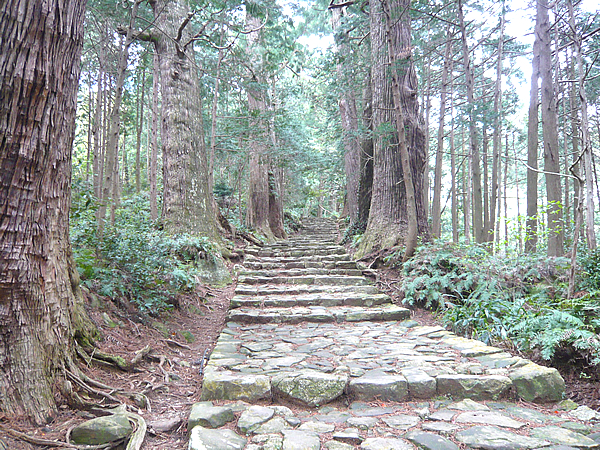 世界遺産 熊野古道 を歩こう 出かける 連載コラム エコレポ Eicネット エコナビ