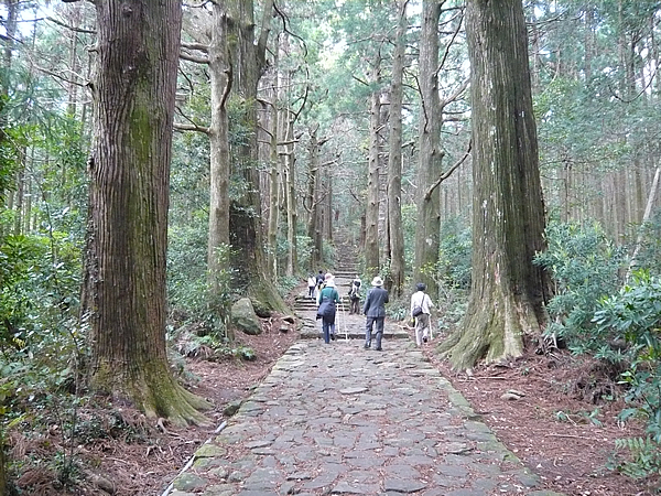 世界遺産 熊野古道 を歩こう 出かける 連載コラム エコレポ Eicネット エコナビ