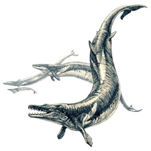 バシロサウルス想像図（©︎ Pavel Riha）