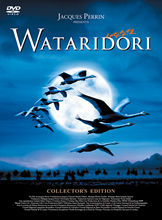 DVD『WATARIDORI　コレクターズ・エディション』￥3,990（税込）