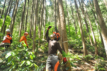 時ノ寿の森での森林整備作業。写真中央、オレンジ色のヘルメットを被って、頭上を見上げているのが大石さん