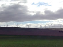 南オーストラリア州の巨大風力発電ファーム