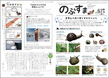 高尾山の自然を紹介したニュースレター「のぶすま」も人気。（写真提供：東京都高尾ビジターセンター））