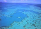 世界最大の珊瑚礁と世界最古の熱帯雨林