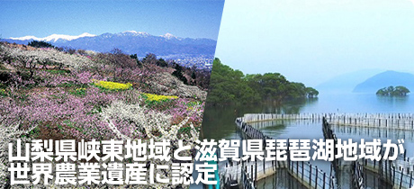 山梨県峡東地域と滋賀県琵琶湖地域が世界農業遺産に認定