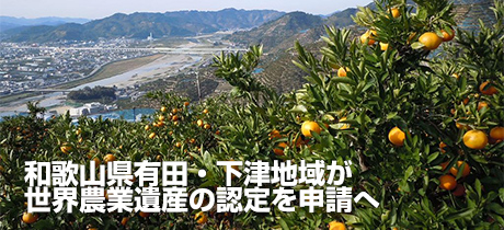 和歌山県有田・下津地域が世界農業遺産の認定を申請へ