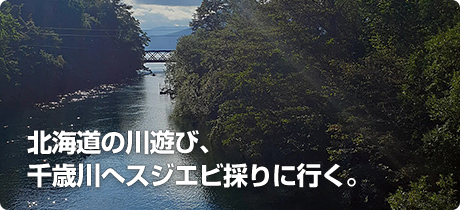 [北海道で飲食店をやりながら生きていく 017]北海道の川遊び、千歳川へスジエビ採りに行く。