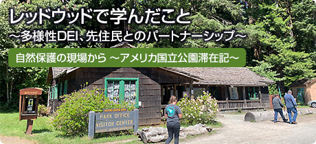 [自然保護の現場から　～アメリカ国立公園滞在記～ 008]レッドウッドで学んだこと