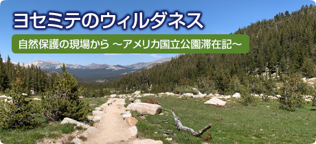 [自然保護の現場から　～アメリカ国立公園滞在記～ 010]ヨセミテのウィルダネス