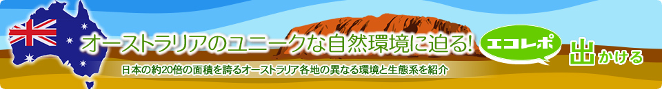オーストラリアのユニークな自然に迫る！