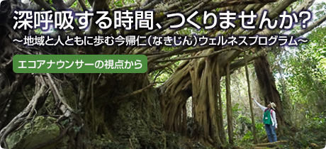 [エコアナウンサーの視点から 003]深呼吸する時間、つくりませんか？～地域と人ともに歩む今帰仁（なきじん）ウェルネスプログラム～