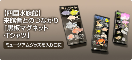 [ミュージアムグッズを入り口に 017]【四国水族館】来館者とのつながり「黒板マグネット・Tシャツ」
