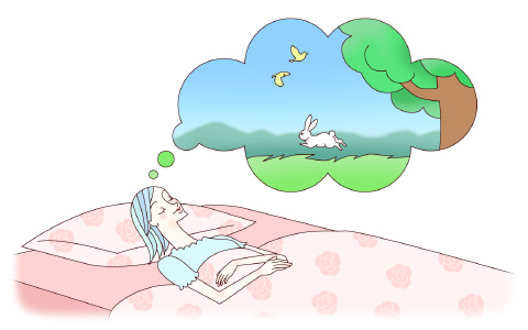 人と地球にやさしい睡眠、あなたは考えたことはありますか？