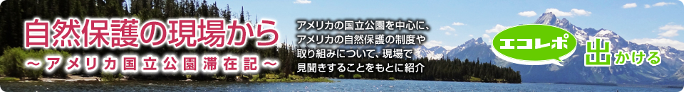 自然保護の現場から～アメリカ国立公園滞在記～