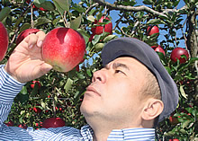 長野のリンゴがたわわに実る秋。