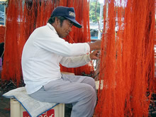 伊勢エビ刺し網を修理する漁師
