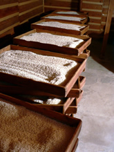 伝統的な麹蓋方式の様子。
