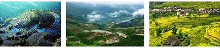 中国の「南部山岳丘陵地域の棚田システム」（出典:FAO-GIAHSウェブサイト）