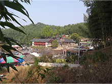 韓国・タミャンの竹林景観