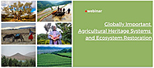 FAOのウェビナー「世界農業遺産と生態系回復」