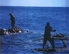 蔚珍・鬱陵（ウルチン・ウルルン）地域「石ワカメ・テベ採取漁業」