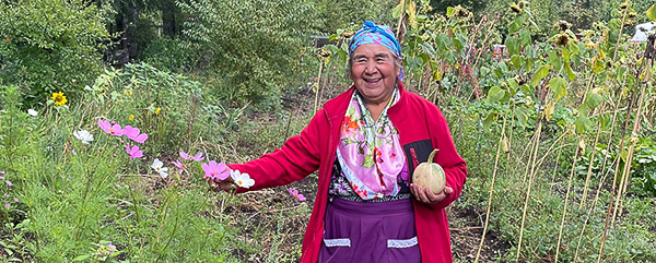 ペウェンチェ山岳地帯における先祖伝来のシステム：ングルマプ地域のホームガーデン、採集、移牧
