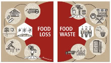 食品ロス/廃棄物は、同じコインの表裏であり、同時に対処する必要がある。（(c)FAOKnowledge）