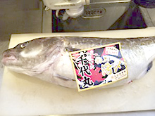 5kgの鱈