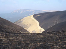 野焼き後、防火帯でくっきり分けられた山肌（北外輪山）