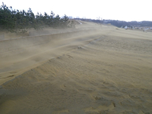 強烈な飛砂（風は右から左へ）