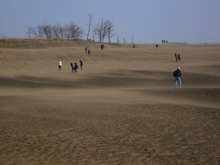 煙のように砂丘を駆け抜ける砂（右手前から左奥へ）