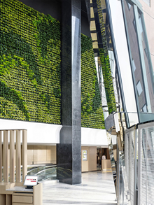 イートン スマート 香港。壁には緑が植えられ、ロビーは自然光が利用できるように設計されています。