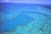 世界最大の珊瑚礁、世界遺産グレートバリアリーフ