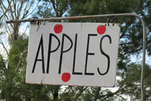 一般販売もしているリンゴ農園の看板　© Tourism Tasmania & Kathryn Leahy