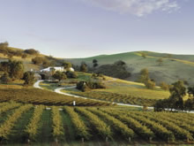 世界有数のワイン産地バロッサバレー　© South Australian Tourism Commission