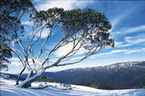 南側の山にはスキー・リゾートが点在する　© Visit Canberra