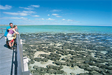 世界遺産にもなっているシャーク湾　© Tourism Western Australia