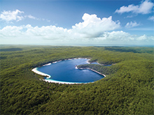 島を覆いつくす亜熱帯雨林　© Tourism Queensland