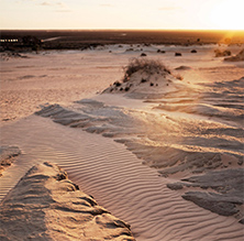 人に荒らされることのない吹きさらしの荒野にできた風紋（© Destination NSW）