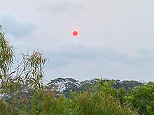 シドニーでは太陽が煙越しになり不気味な色に（© Miki Hirano）