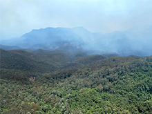 世界遺産の森が広がるブルーマウンテンズは今も燃え続けている（© Miki Hirano）