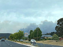 ブルーマウンテンズへと続く高速道路から見える森林火災の黒煙（© Miki Hirano））
