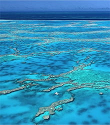 グレート・バリア・リーフ南部のサンゴ礁群 ©Tourism and Events Queensland