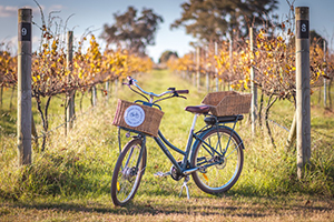 ワイナリーをめぐるサイクリング・ツアーもある。　© VisitCanberra