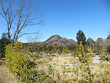 笹倉山