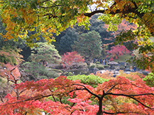 展望台から見る日本庭園