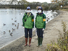 鳥インフルエンザの監視のための糞便調査の様子（ウトナイ湖にて）