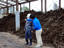 堆肥化プラントで、作業員に指示を出す増田さん。新町の堆肥保管場にて