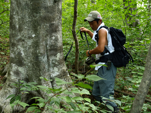 森の様々な環境を利用している動物たちの生息状況を把握するための調査